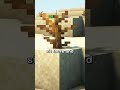 the ABSOLUTE MOST USELESS THING IN ALL OF MINECRAFT