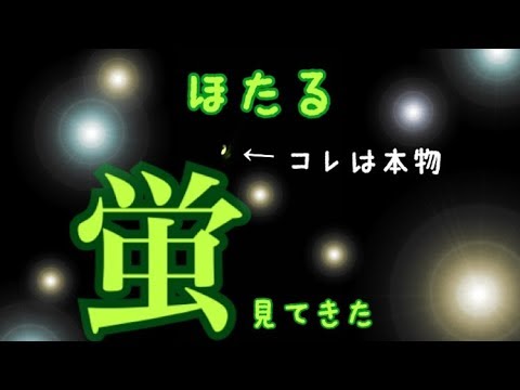 蛍を観に行ってきました。幻想的で感動…