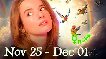 BACK to the FUTURE | MERCURY stations RETROGRADE in SAGITTARIUS