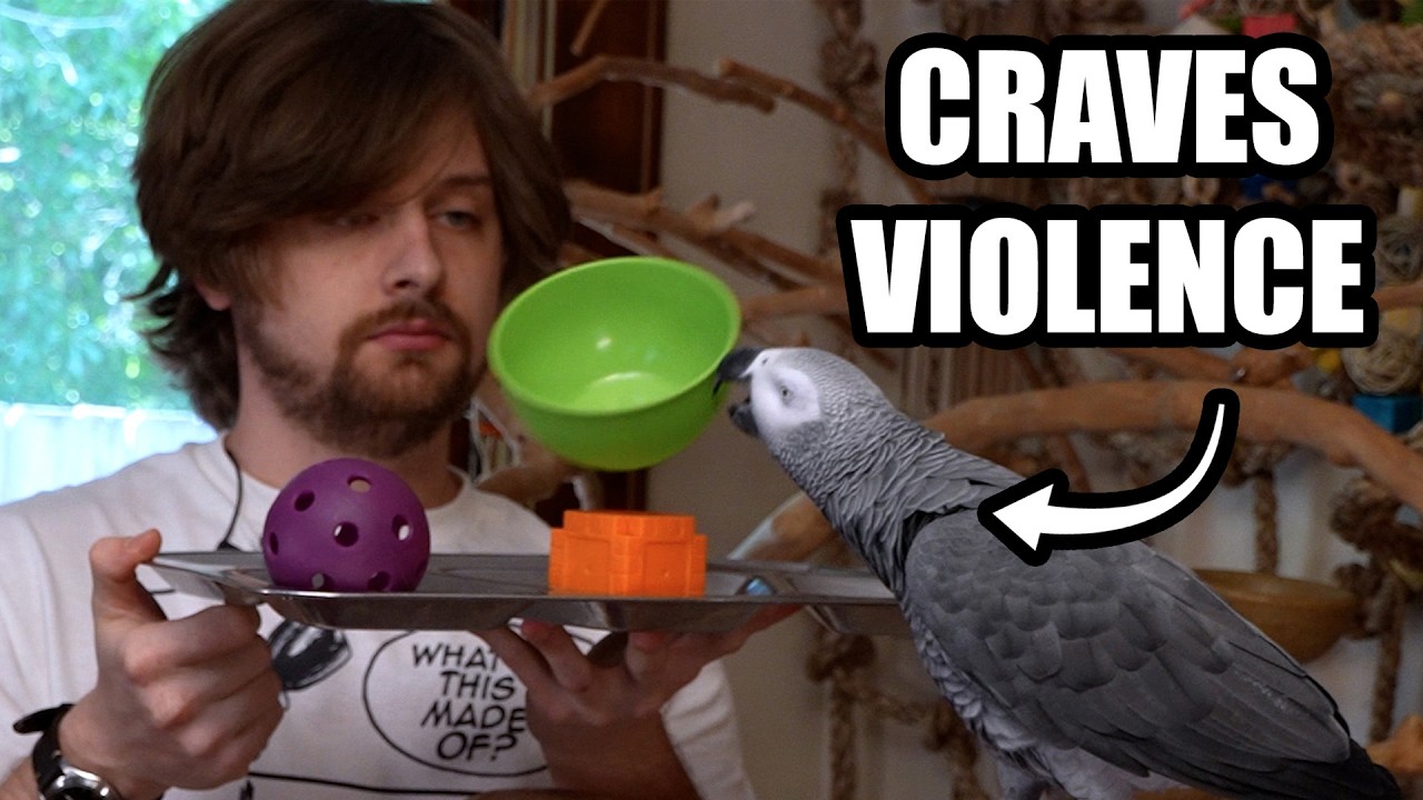 Latest Title & Thumbnail