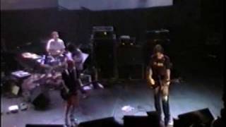 Watch Sonic Youth Small Flowers Crack Concrete video