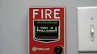 Fire Alarm Sound Effect #2