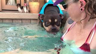 Arlo learning to make bubbles in the pool