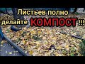 как сделать КОМПОСТ из листьев