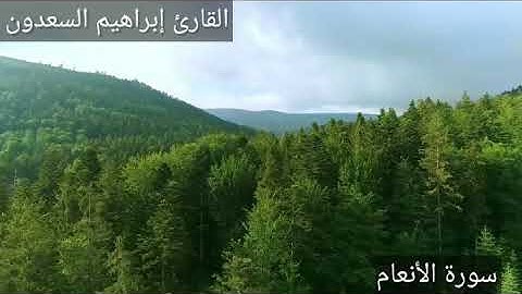 ما تيسر من سورة الأنعام في صلاة الفجر