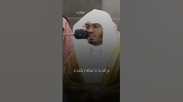 #ياسر_الدوسري #سورة_لقمان #alasir_mihrab