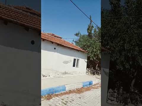 Foça Yeni Bağarası