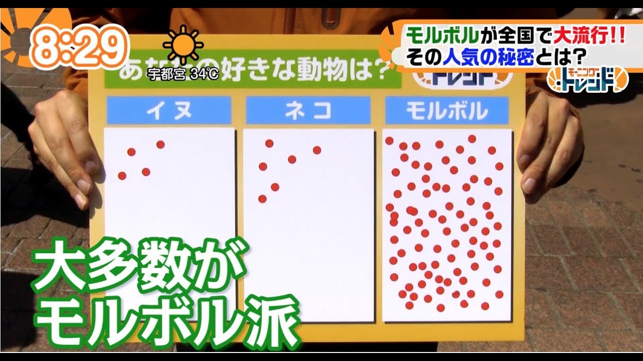 モルボルカフェ モルボル好きの憩いスポット