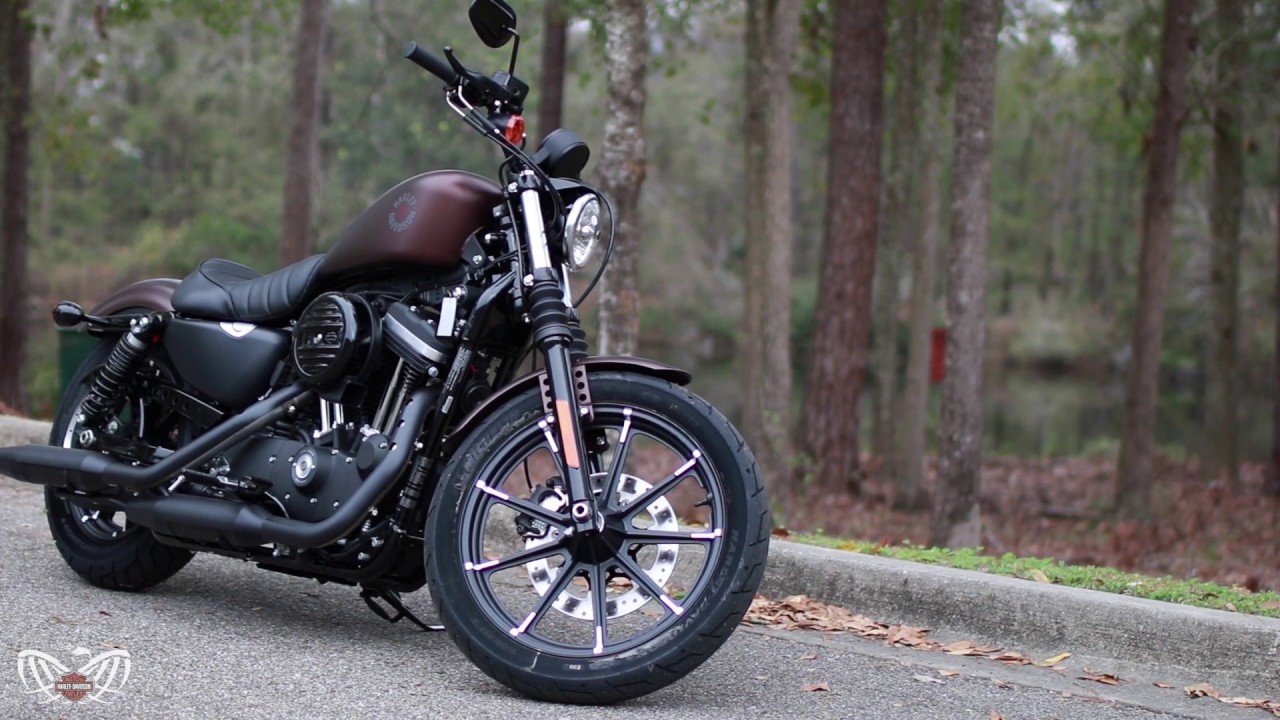  2019  Harley  Davidson  IRON  883   review  YouTube