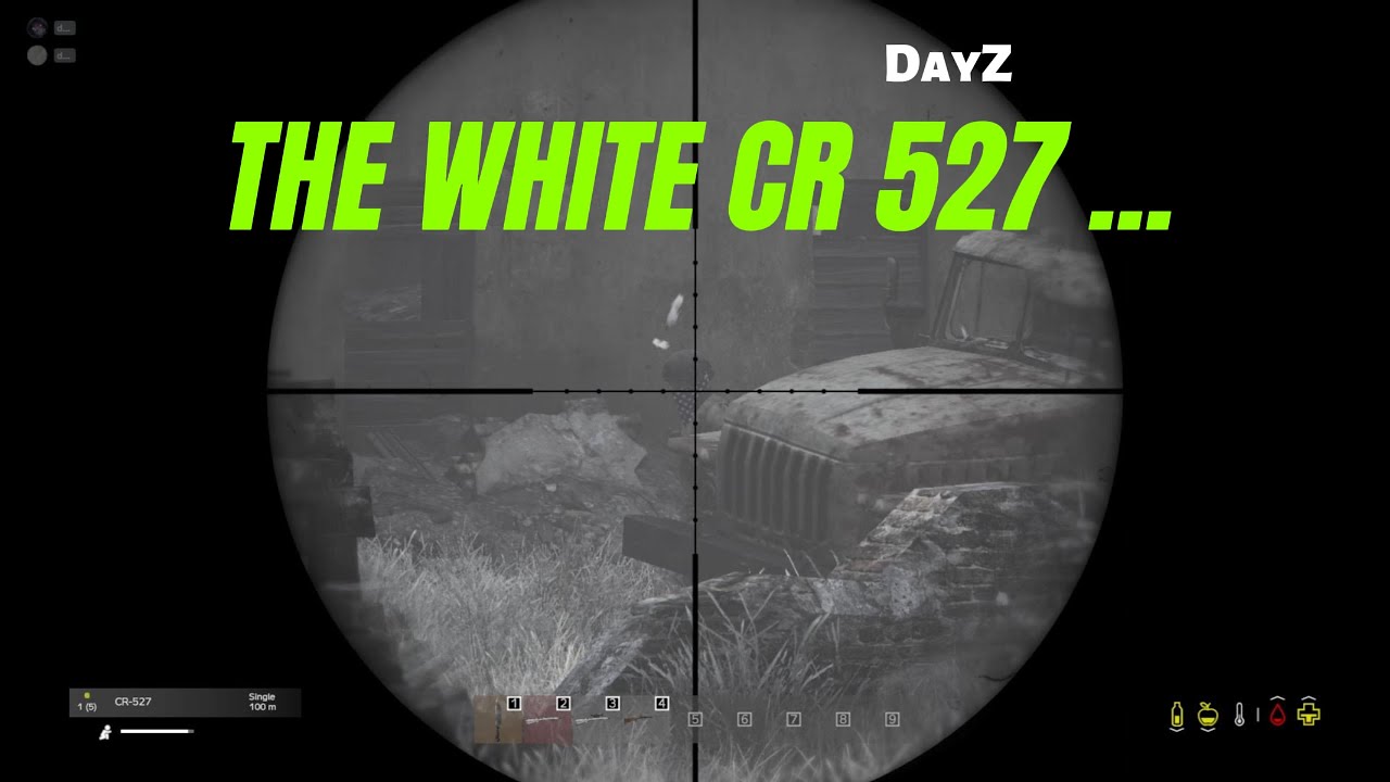 Namalsk DayZ - The White CR 527