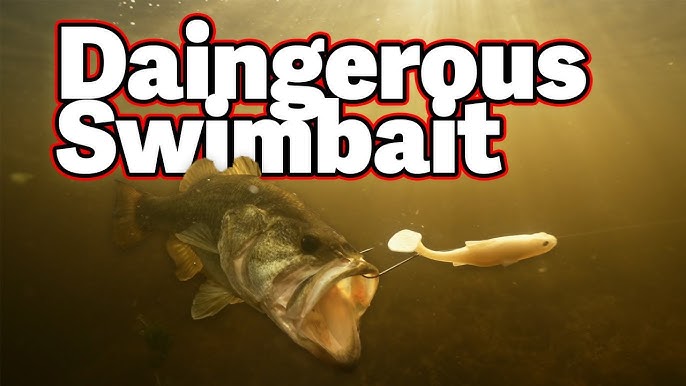 Fishing The NEW Bass Mafia Daingerous Swimbait (Insane Eats) 