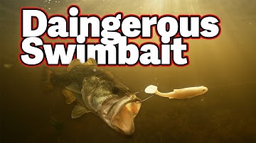 The Swimbait of My Dreams