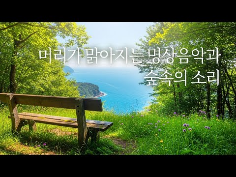 숲 속🌿새소리와 함께 듣는🕊️편안한 명상음악 | 5시간, 힐링음악, 명상음악 | Relaxing Music, Healing Music
