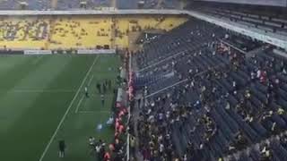 Fenerbahce Benfica Stadyum