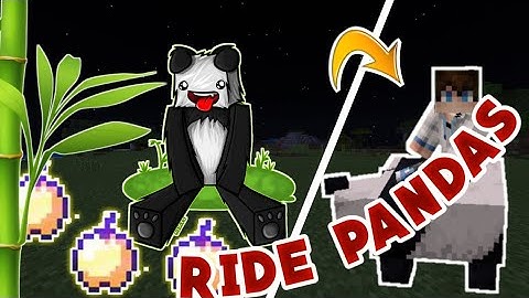 HOW TO RIDE PANDAS in Minecraft(Pocket Edition, Windows 10, Xbox)