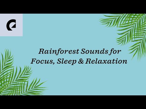 30 Min Rainforest Sounds for Sleep, Relaxing & Studying