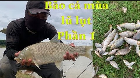 Câu cá mùa lũ miền trung p1