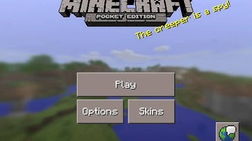 MCPE | My New Server! | PunchCraft
