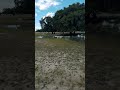 The swimming goat 🐐