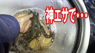 初冬のうなぎ釣りで試したエサが最強だった【うなぎ釣り】