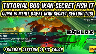 CARA DAPAT IKAN SECRET DI FISH IT CUMA 15 MENIT DAPET SIKRIT - TUTORIAL BUG IKAN SECRET ROBLOX 2025 screenshot 4