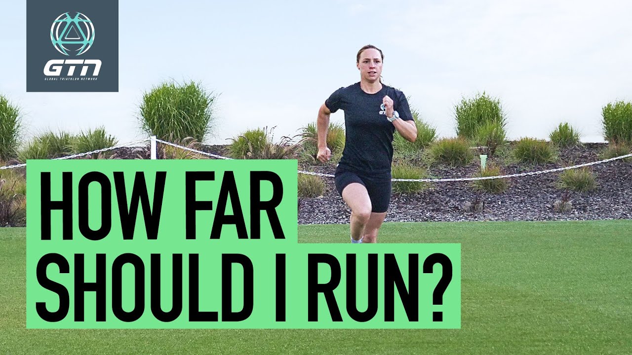 Synthesize 28+ articles: how far should i run [just updated] - sa ...