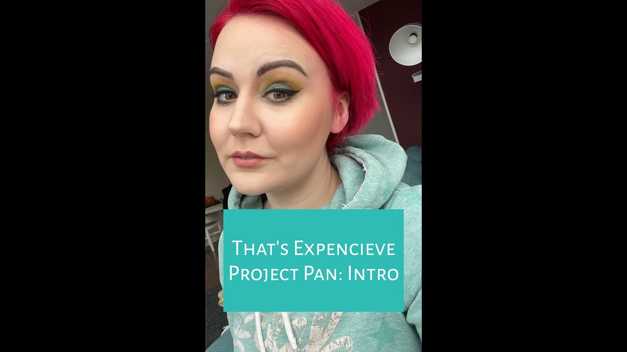 That’s Expensive Project Pan: intro | 2021 | 