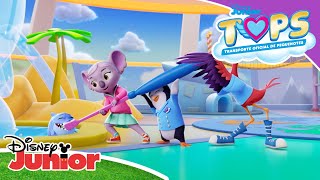 T.o.p.s. Transporte Oficial De Pequenotes Um Dia Com Pip E Freddy