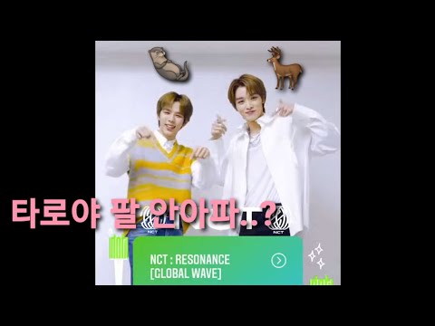 [NCT: 쇼타로 성찬] 팔 떨어질 것 같은 숕🦦