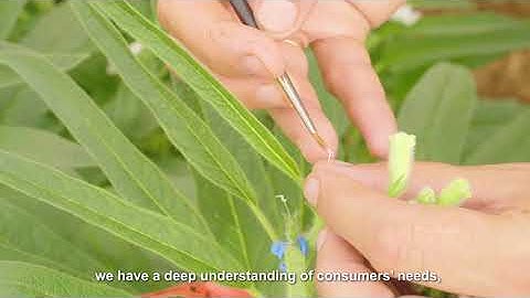 Equinom - Unique Breeding Methods