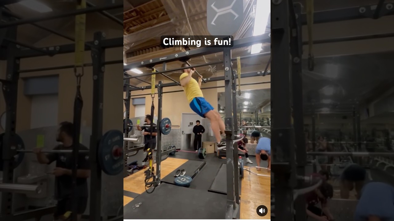 My favorite exercise is the monkey bars at the gym. Great for upper body! 