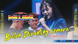 Bulan Diranting Cemara