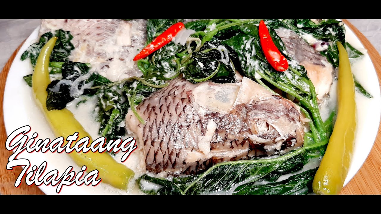Ginataang Tilapia Tilapia with coconut milk recipe YouTube