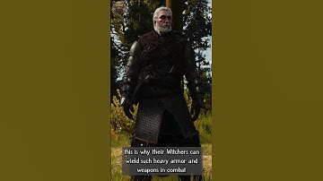 How many Witcher Schools are there? | Witcher Lore #shorts