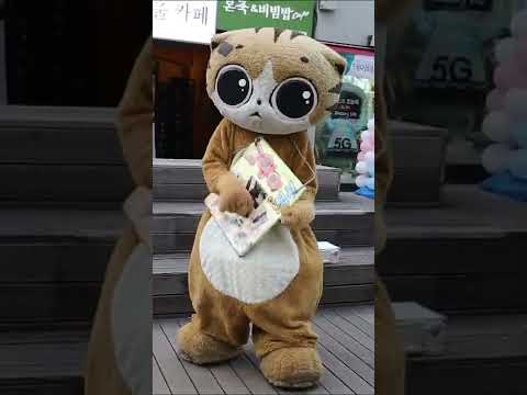 JHKTV]  명물고양이 기타는 나에게   famous <strong>cat</strong> guitar <strong>to</strong> me  #<strong>Shorts</strong>