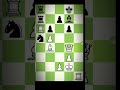 Hikarubrillancy#hikarunakamura #chessgrandmaster#chess#chessgame#chesscom#gothamchess #magnuscarlsen