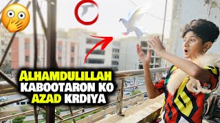 Alhamdulillah Kabootar Azad Krdiye!| Pigeons Vlog!| Vampire YT