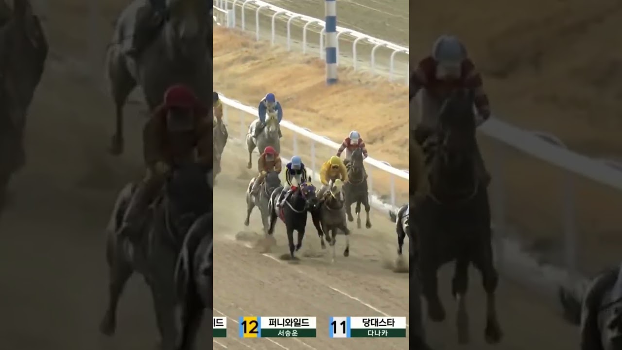 54배적중네방으로성공