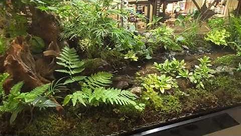 Hồ bán cạn tuyệt đẹp của The Keiryu Company