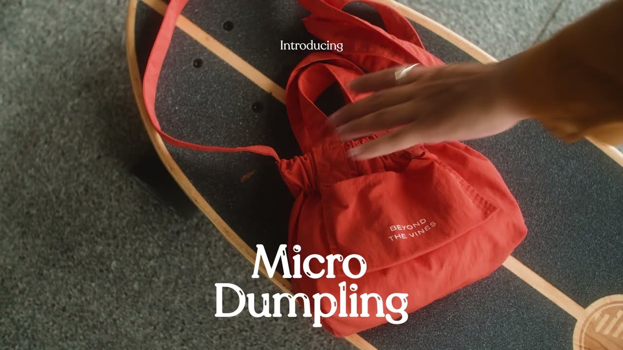 Introducing the Micro Dumpling Bag