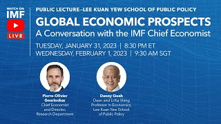 Global Economic Prospects: A Conversation with the IMF Chief Economist