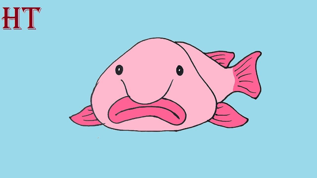 Cartoony Blob Fish Pet | Roblox Item - Rolimon's