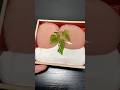 Bánh Đào Mochi Nhật Bản 🍑 Nhìn Như Quả Đào Thật | Món Ngọt Độc Đáo Ở Nhật