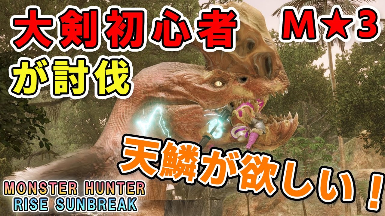 【MHRS】のんびり素材集め【ゲームプレイ動画】