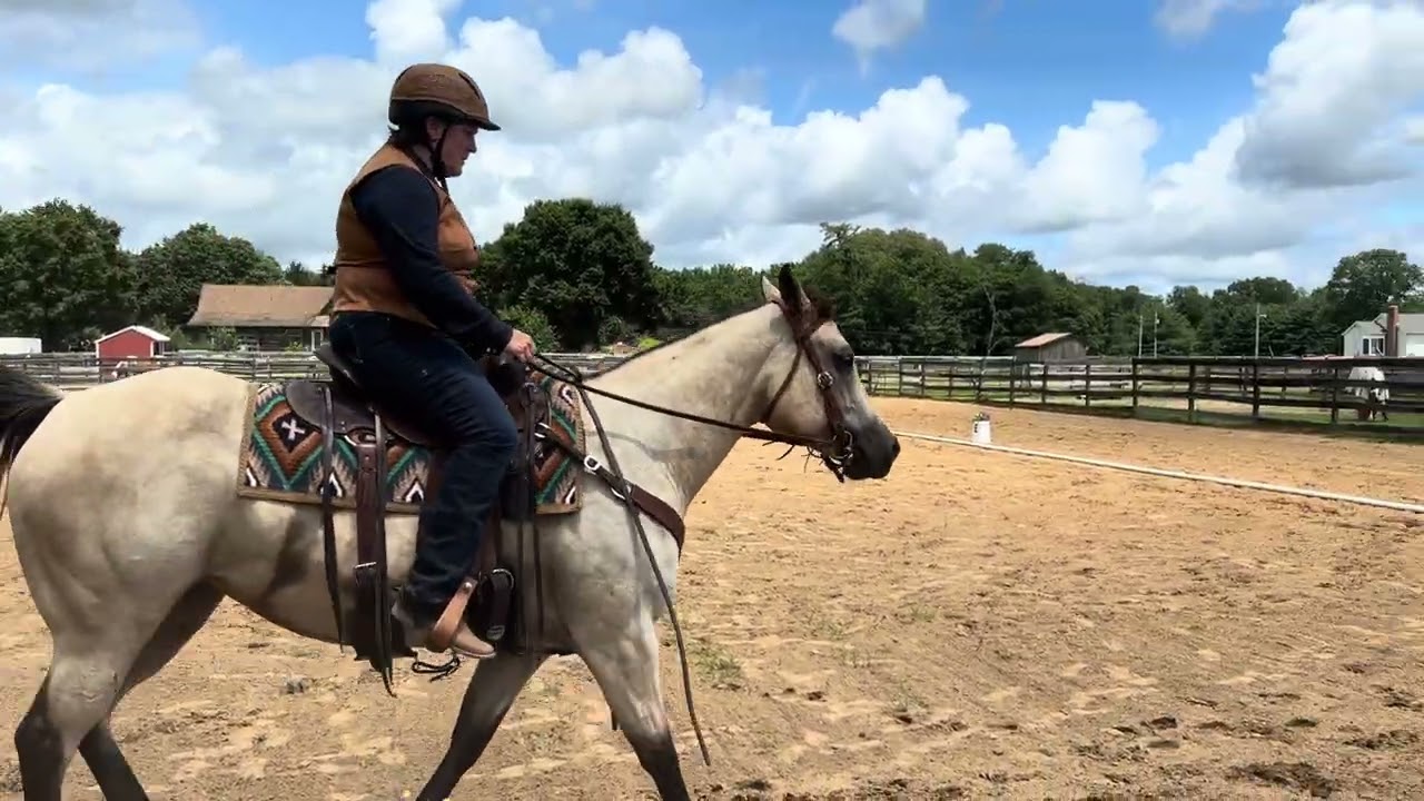 Keystone Summer Classic , Entry 5404,  HWJ Pattern B,  Cheryl Caprio, Dotzy Playgirl