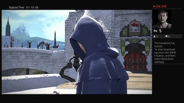 I am playing Final Fantasy XIV online (Quests A Sight to Behold (Sightseeing Log)…)