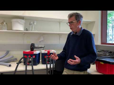 Video: Bumbieru atdzesēšanas prasības - kāds ir minimālais bumbieru atdzesēšanas laiks augļu komplektam