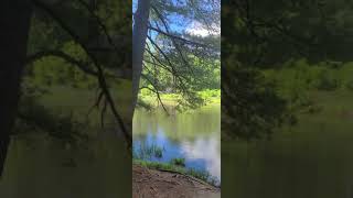 MT Holyoke ma