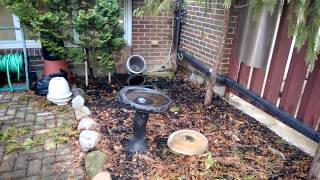 WP 20140408 002