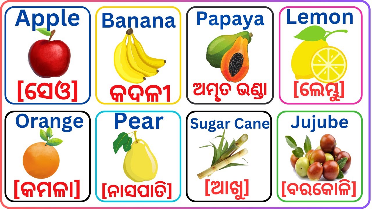 Top 30 Fruits name English to Odia with spelling and meaning for kids OKTV YouTube